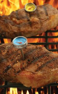 Mini Steak Thermometers